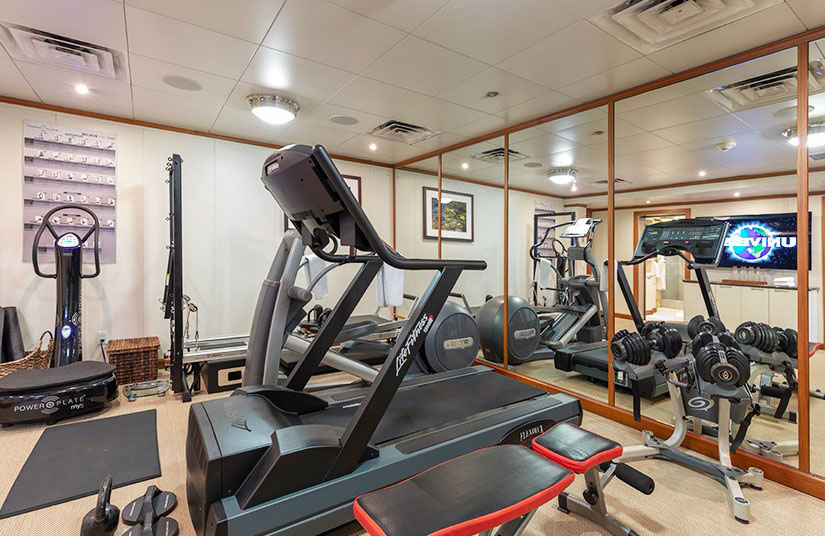 The gym comes with a large range of equipment to suit every exercise routine